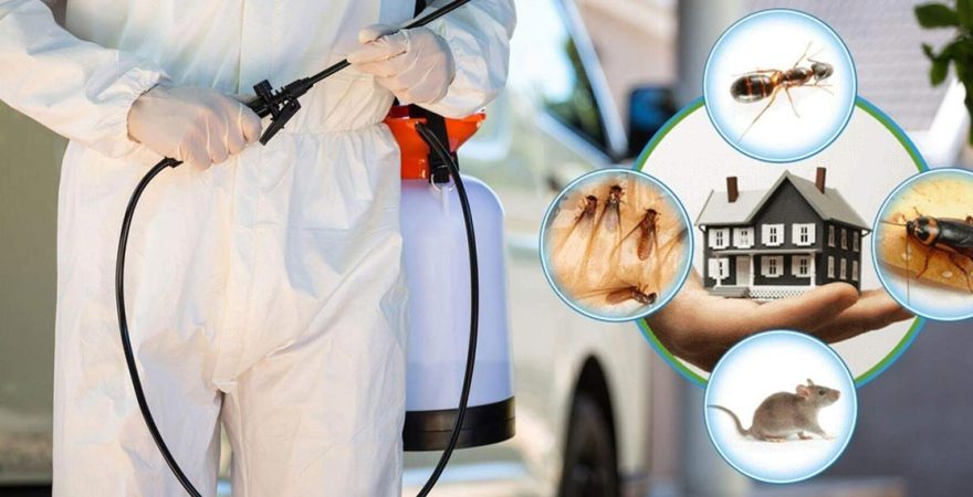 Egekent Böcek İlaçlama