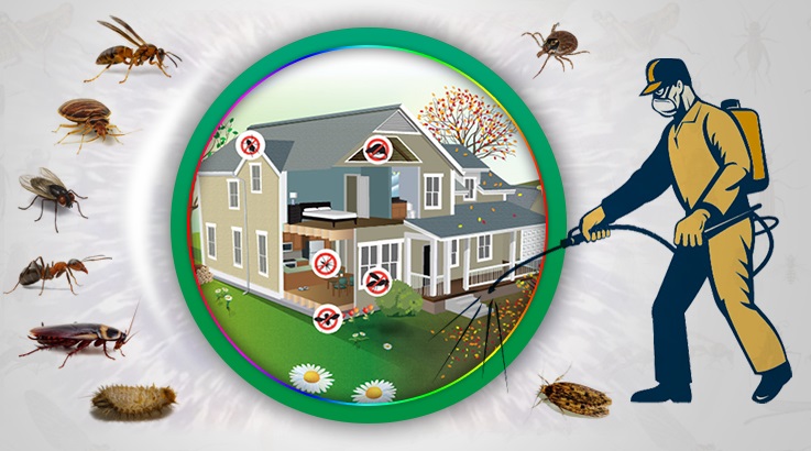 Egekent Böcek İlaçlama