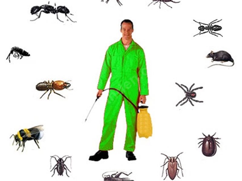 Egekent Böcek İlaçlama